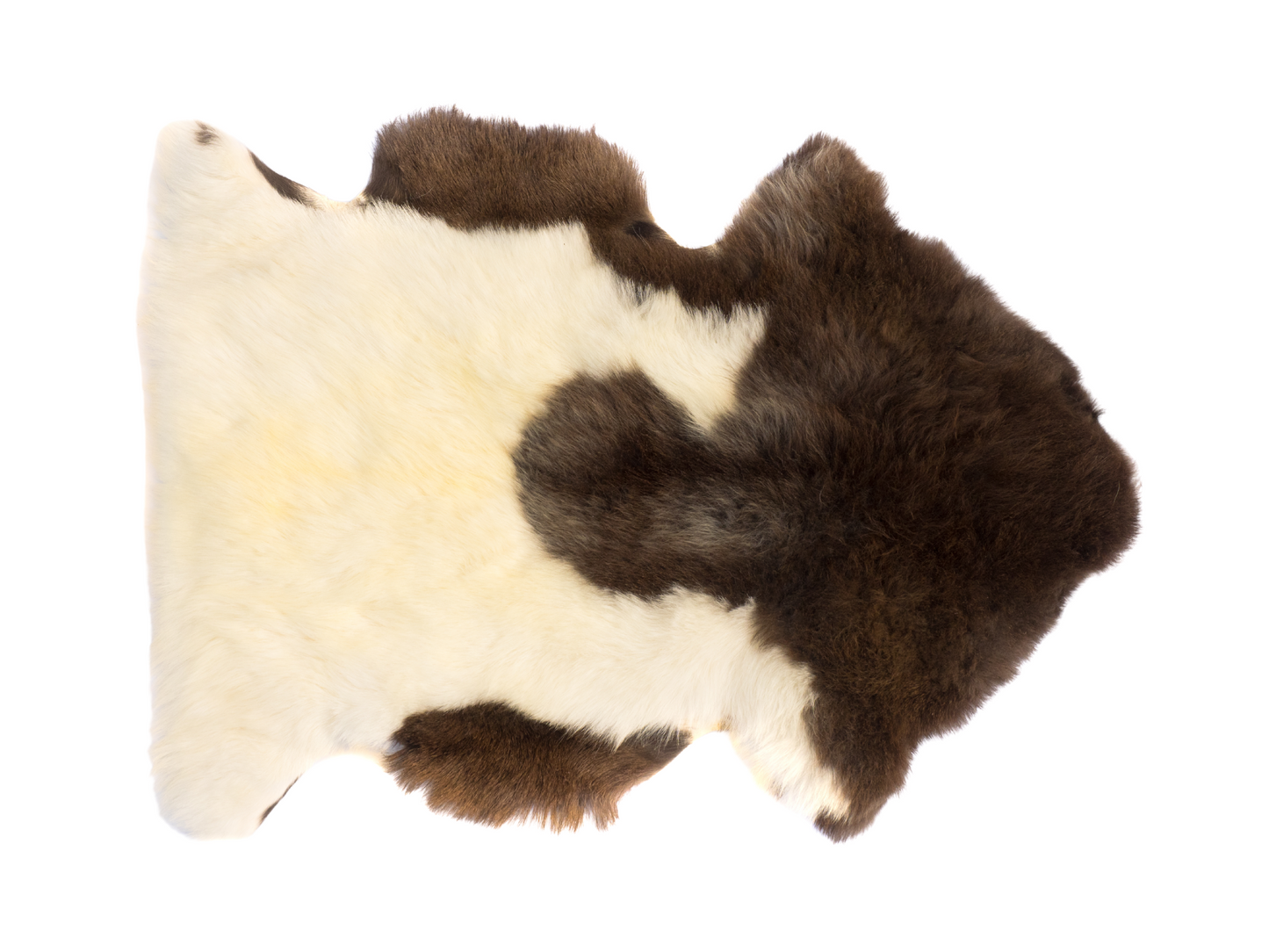 Lhasa Rug