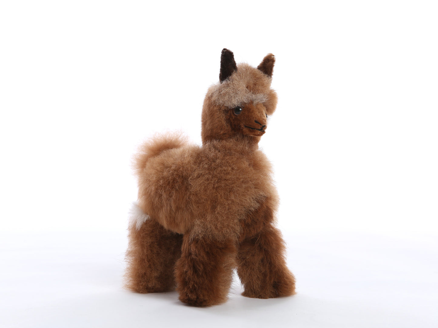 Alpaca Collectible