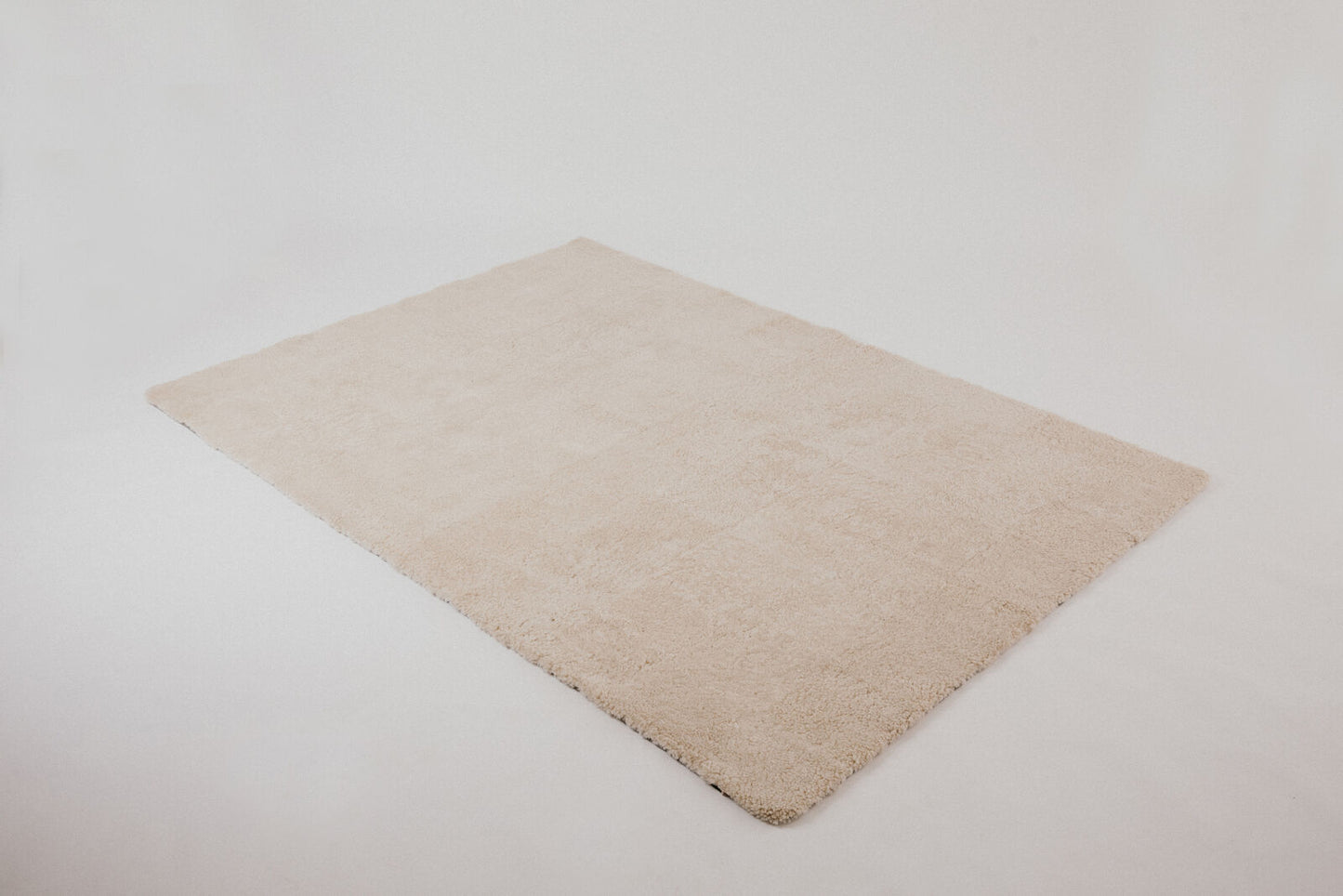 Shorn Curly Area Rug