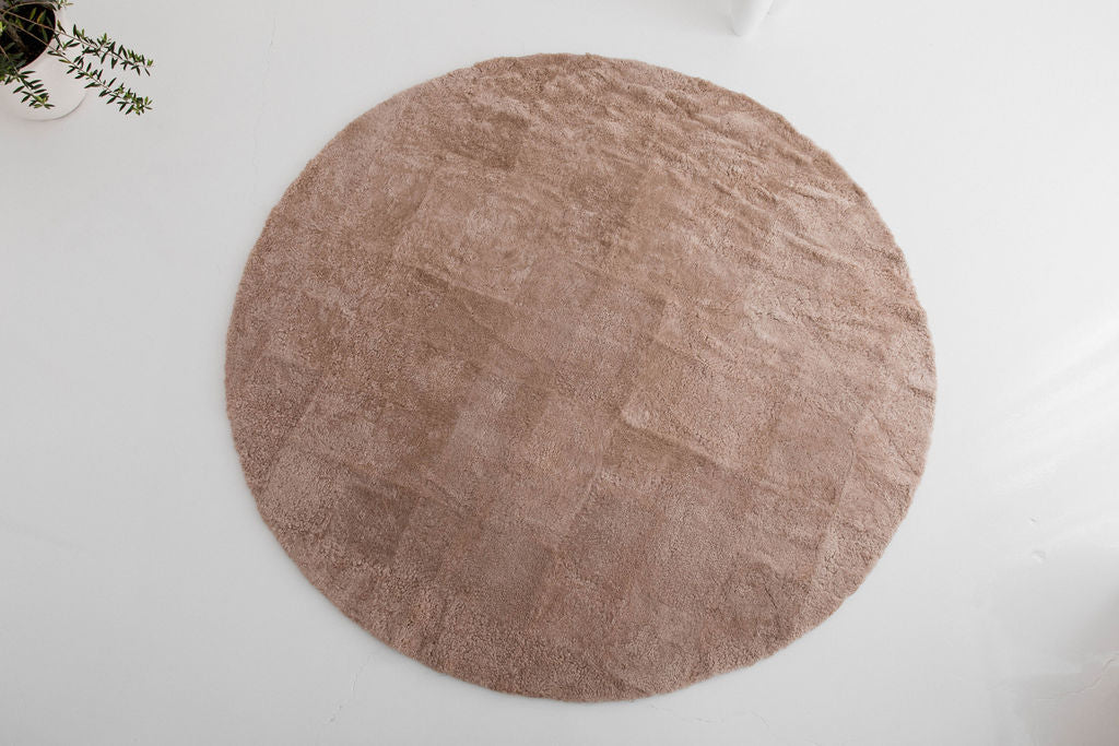 Shorn Curly Area Rug