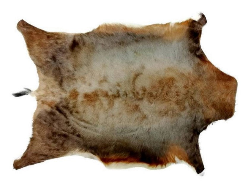 Blesbok Rug