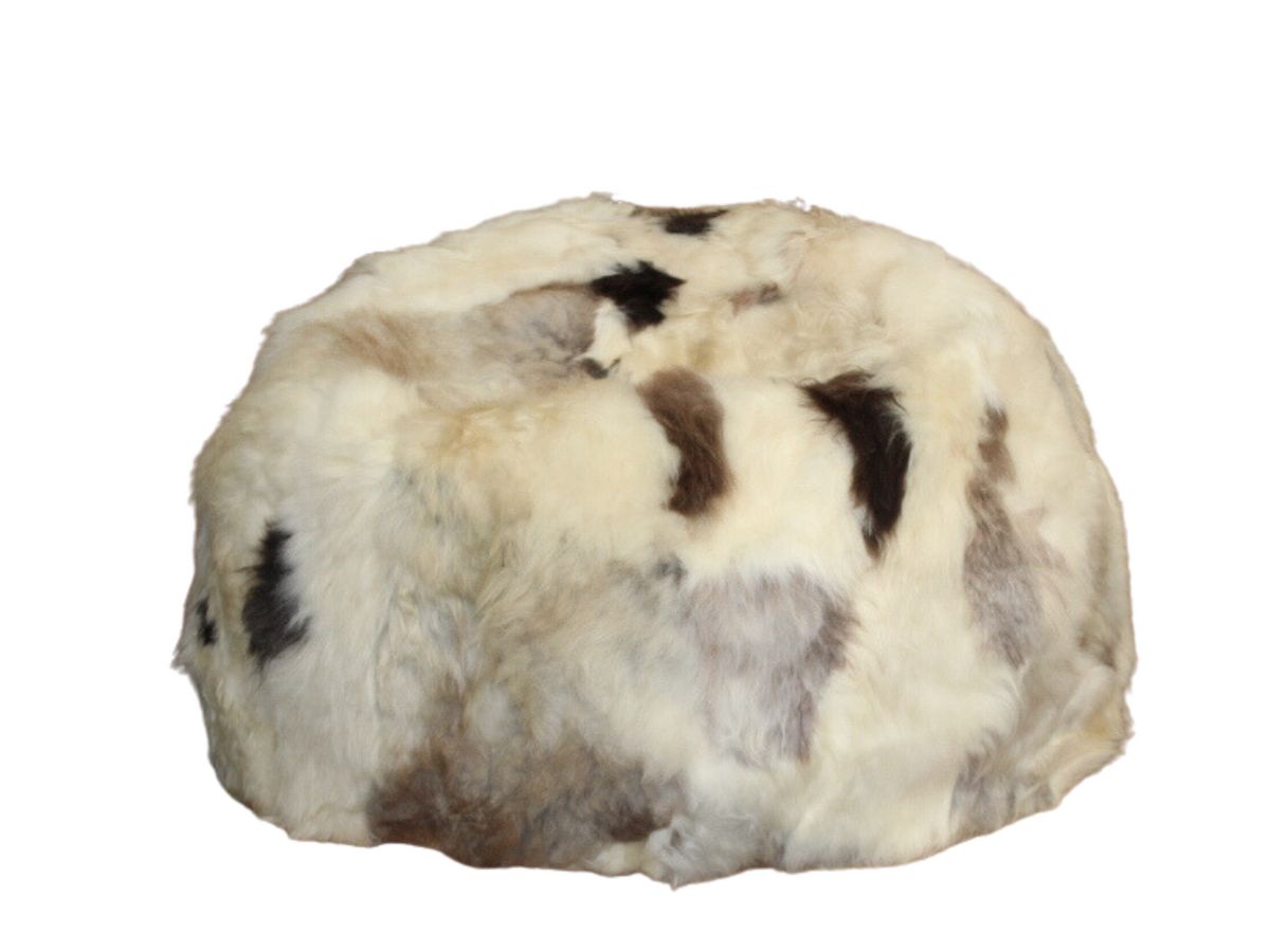 Lhasa Bean Bag