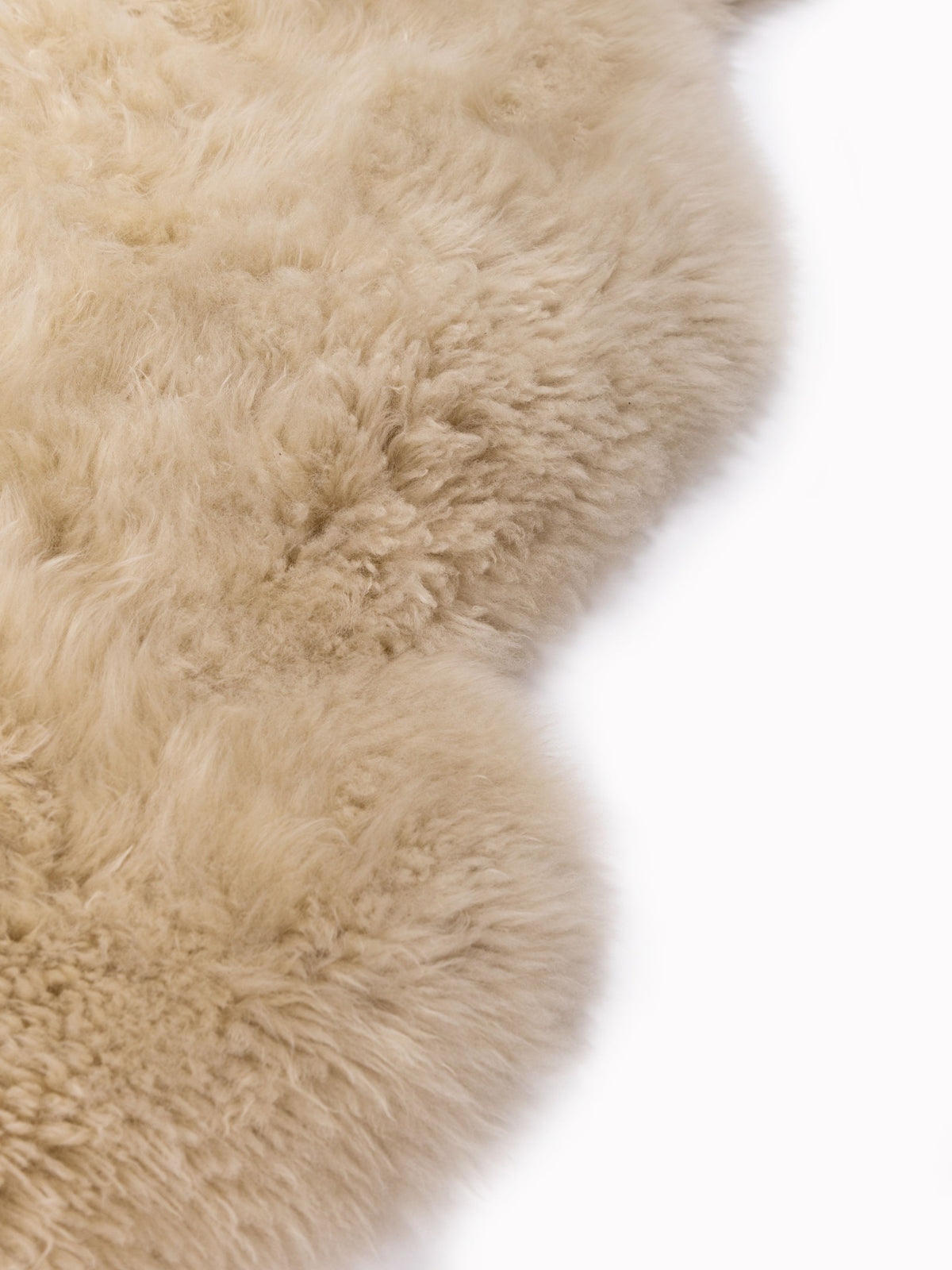Infant LW Rug Little Ones