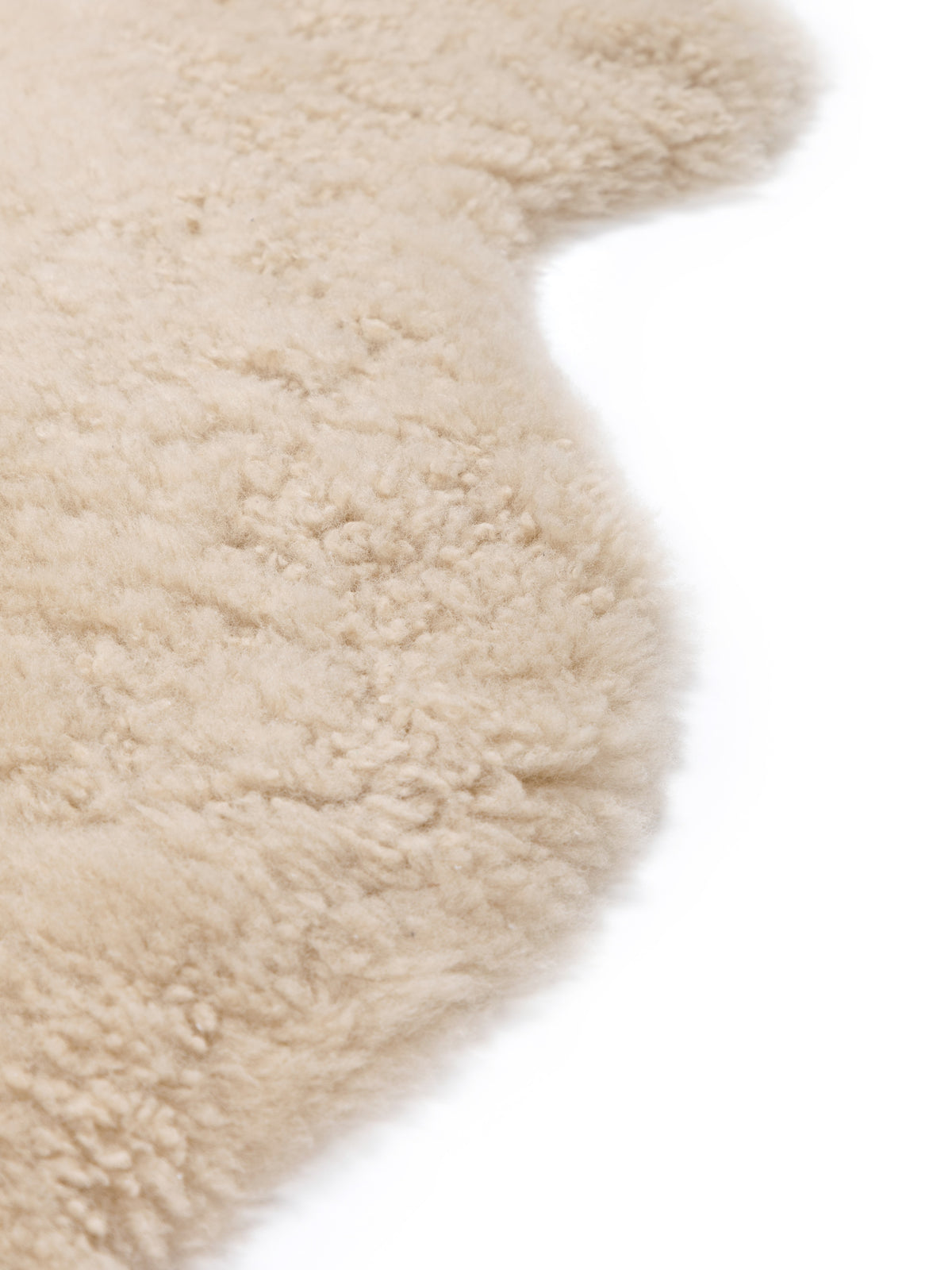 Infant SW Rug Little Ones