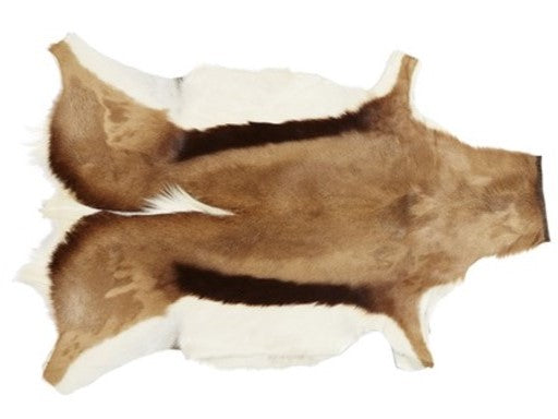 Springbok Rug