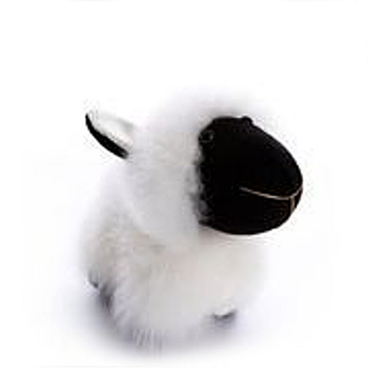 Alpaca Sheep Collectible